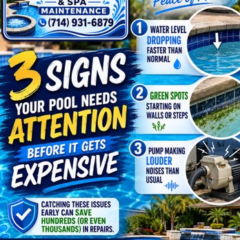 3 Signs Your Pool Needs Attention: Water level dropping, green spots, pump making louder noises than usual.